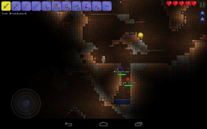 Terraria (17)