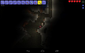 Terraria (20)