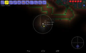 Terraria (5)