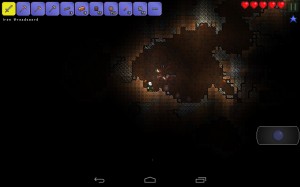 Terraria (7)