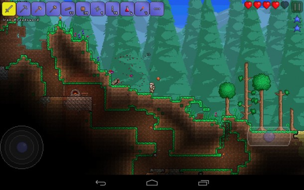 Terraria (9)